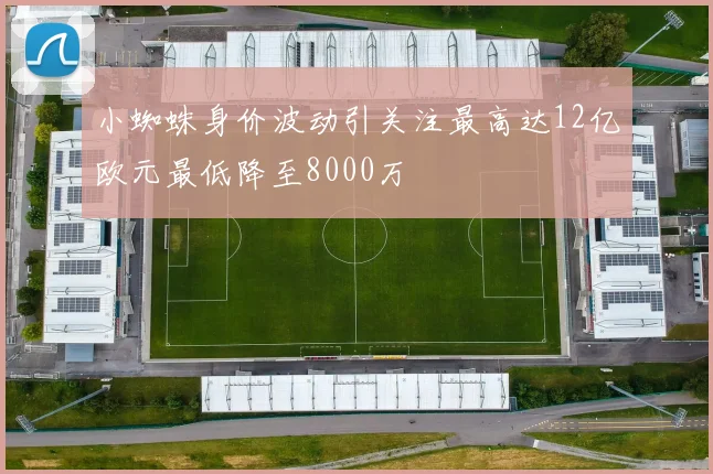 小蜘蛛身价波动引关注最高达12亿欧元最低降至8000万
