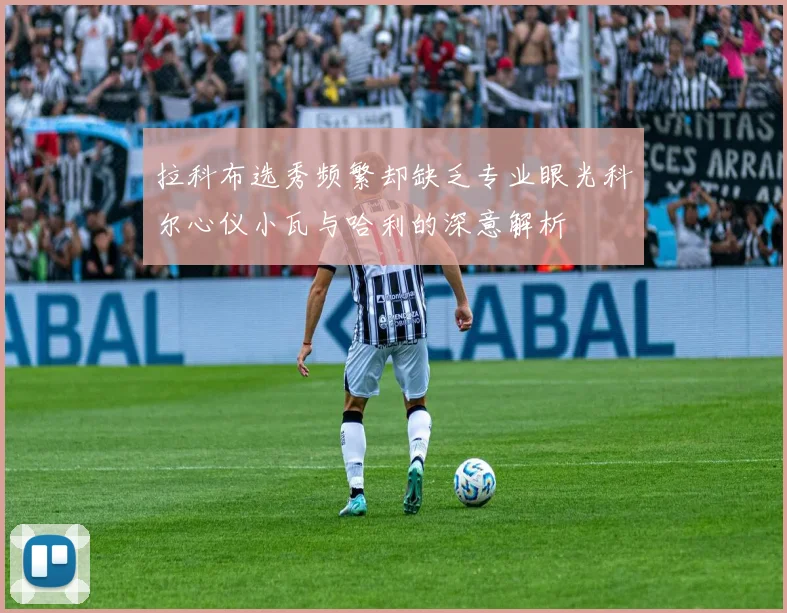 拉科布选秀频繁却缺乏专业眼光科尔心仪小瓦与哈利的深意解析