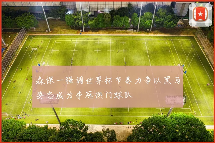 森保一强调世界杯节奏力争以黑马姿态成为夺冠热门球队